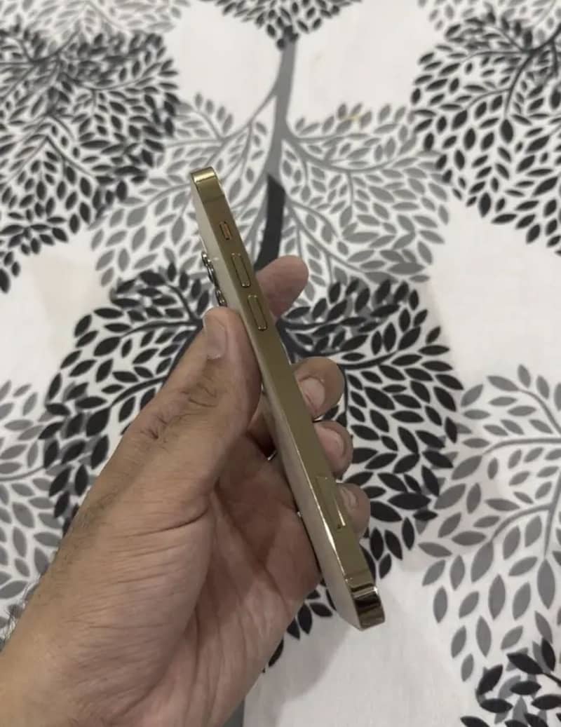 Apple iPhone 12 Pro 2