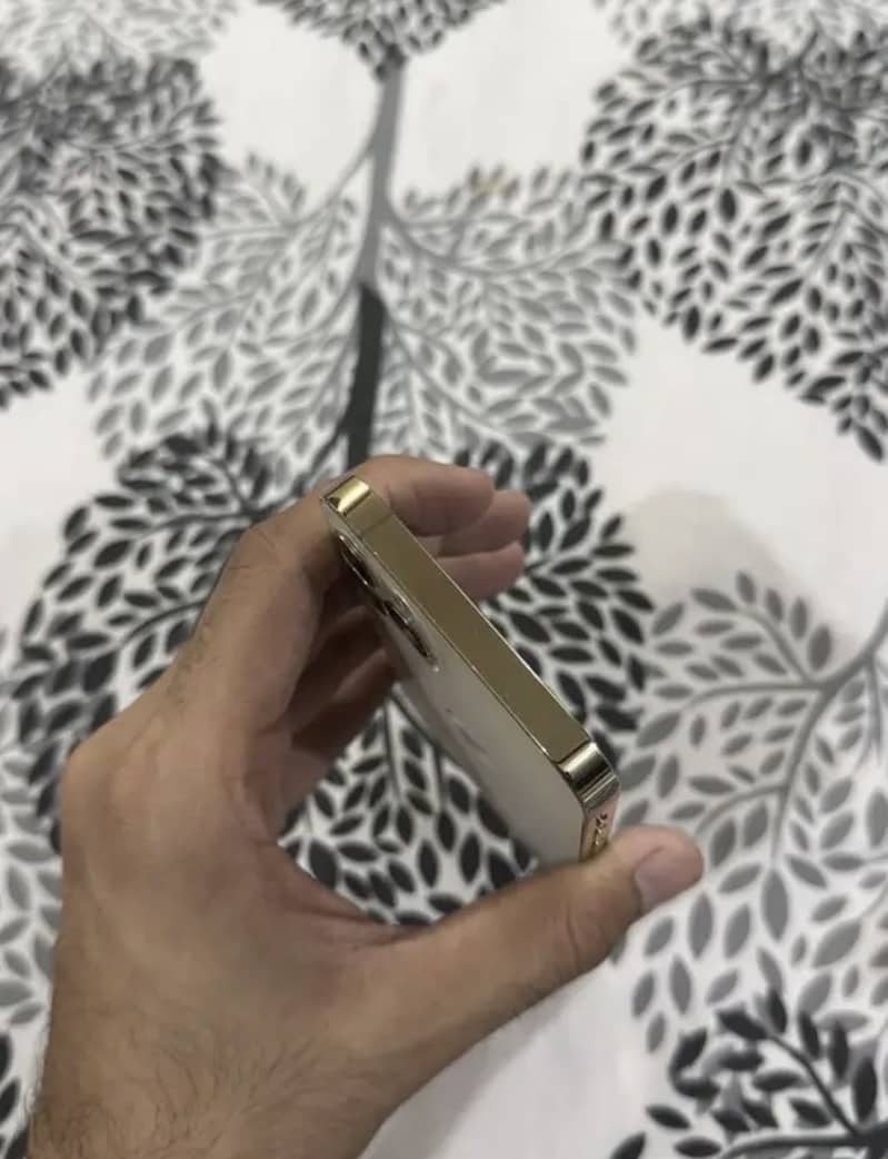Apple iPhone 12 Pro 3