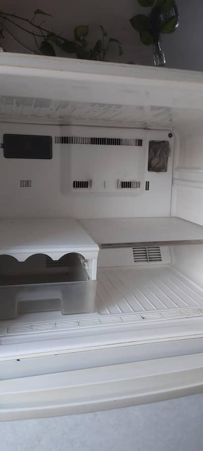 important refrigerator for sale at reasonable price
