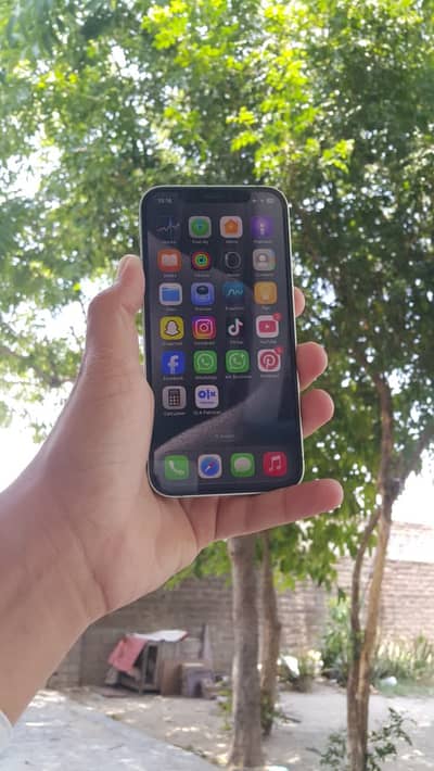 Apple iPhone 12