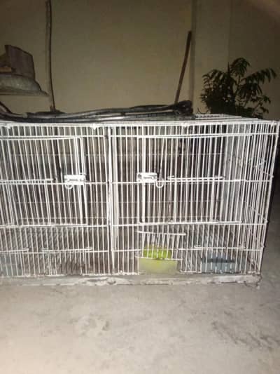 pinjra for birds and parrots