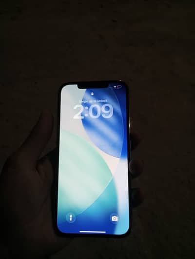 Apple iPhone 12 Pro Max