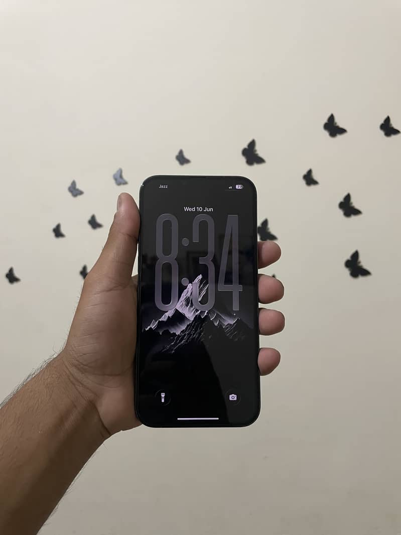 iPhone 13 Pro Max 1