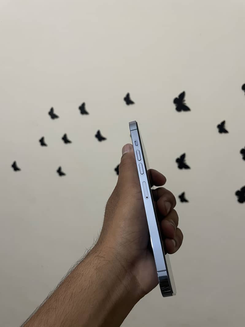 iPhone 13 Pro Max 2
