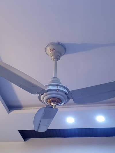 GFC almost new fan. very less used.