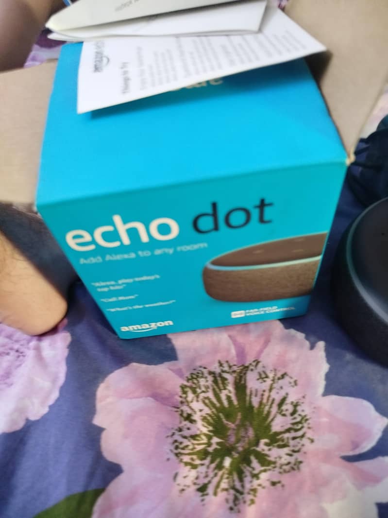 Echo Dot 0