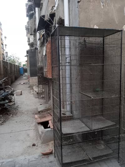 bird cage 2
