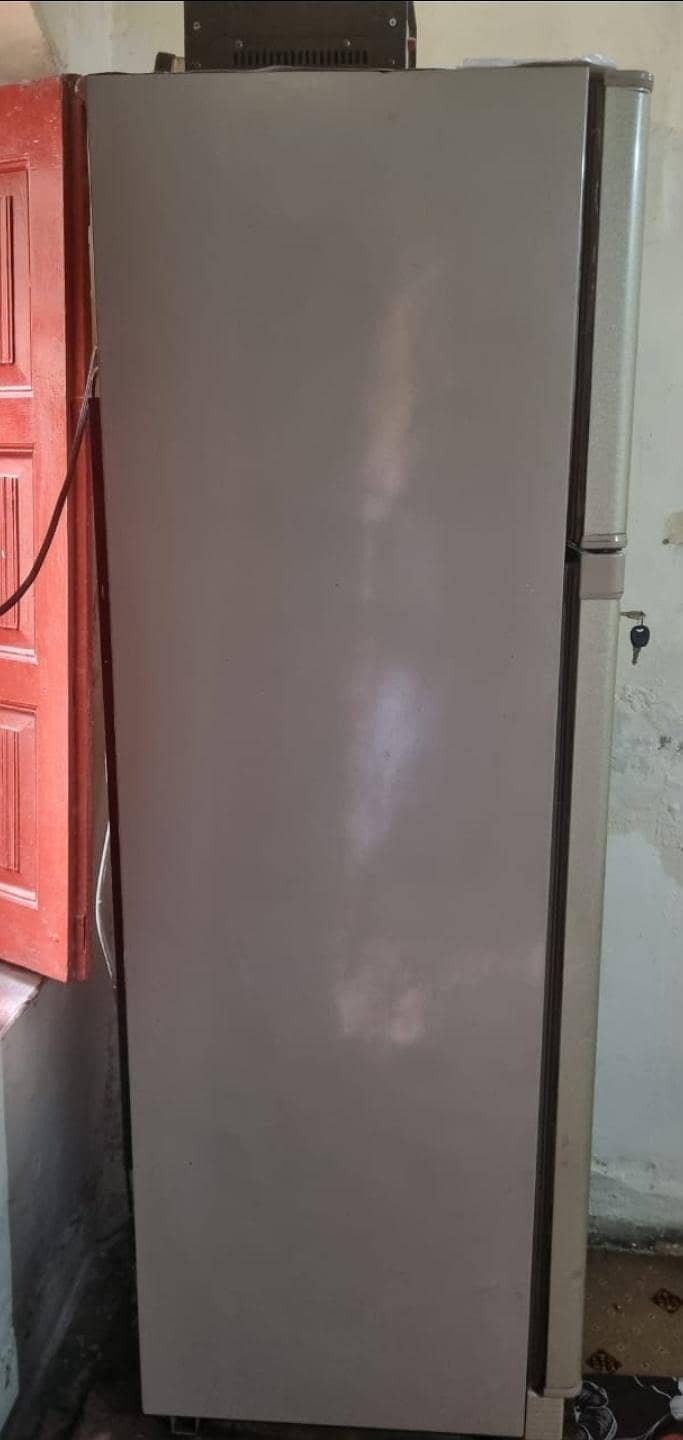 frige 0