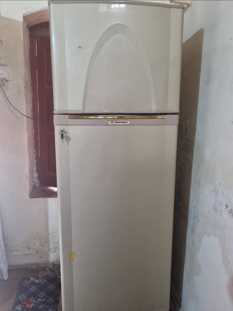 frige 1