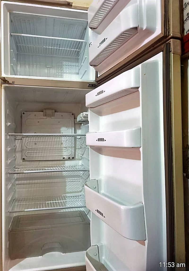 frige 2