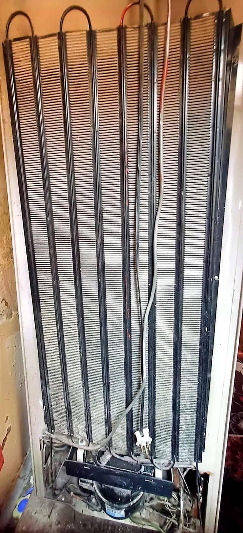 frige 3