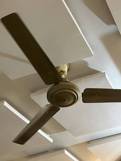 Ceiling Fan for sale