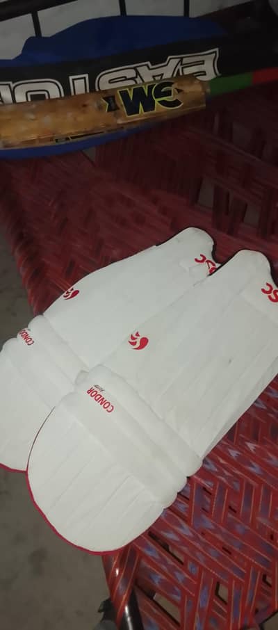 cricket kit