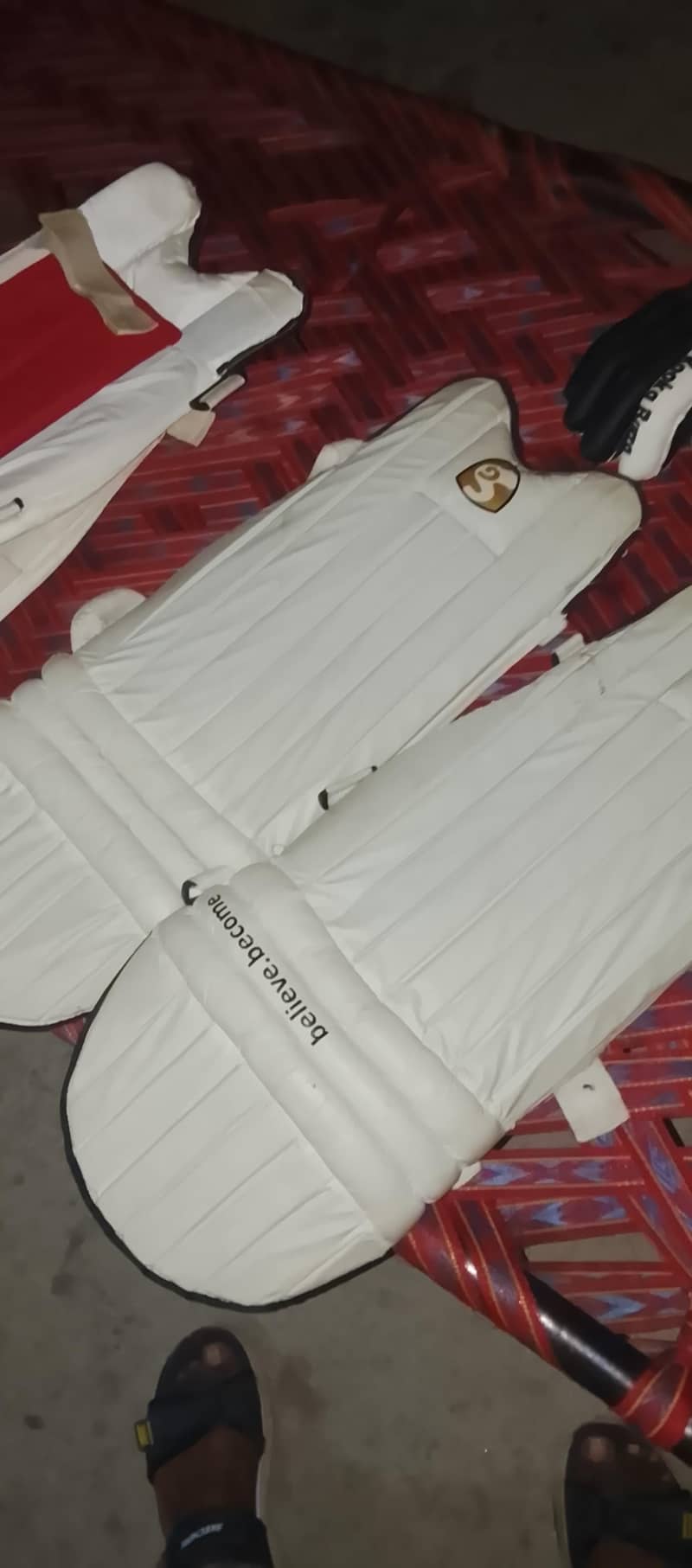 cricket kit 2
