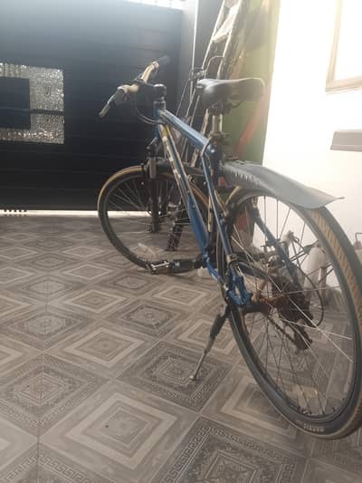 GT Avalanche Inported Bicycle