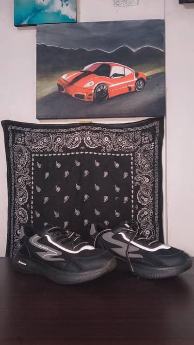 Thrifted shoe's