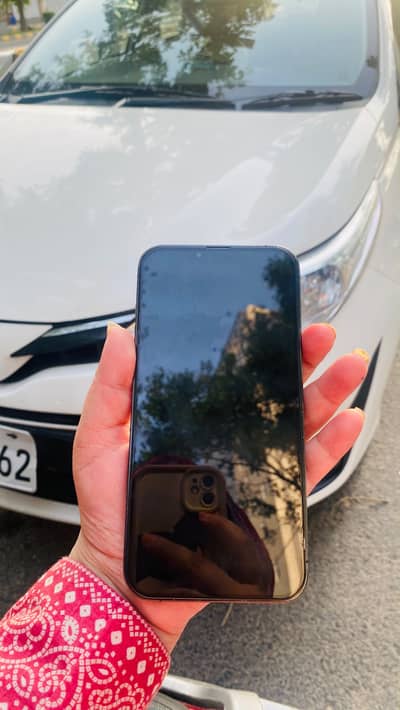 Iphone 13 pro max FU