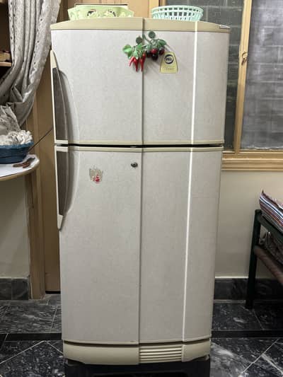 PEL Fridge for sale