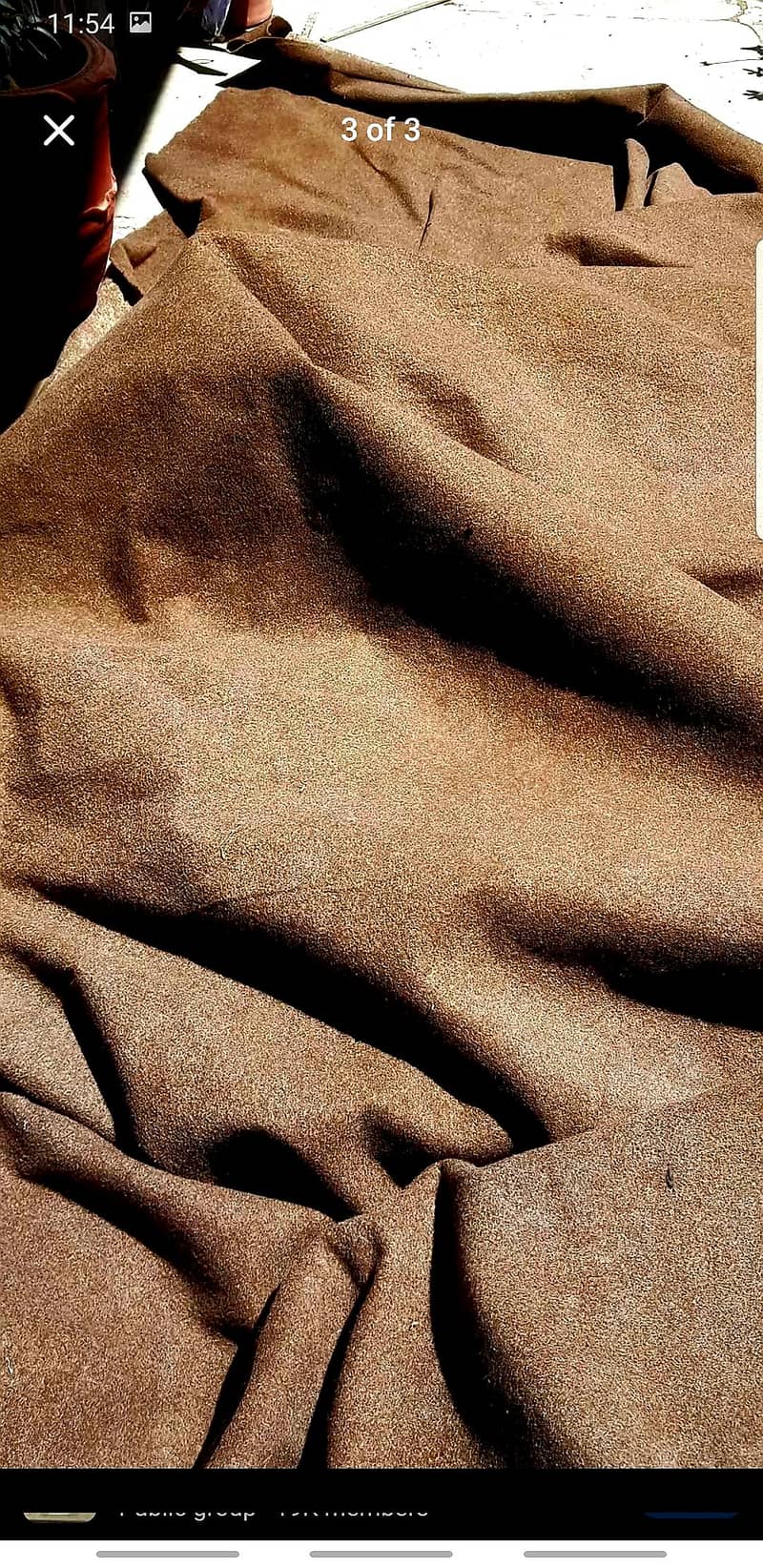 carpet 0