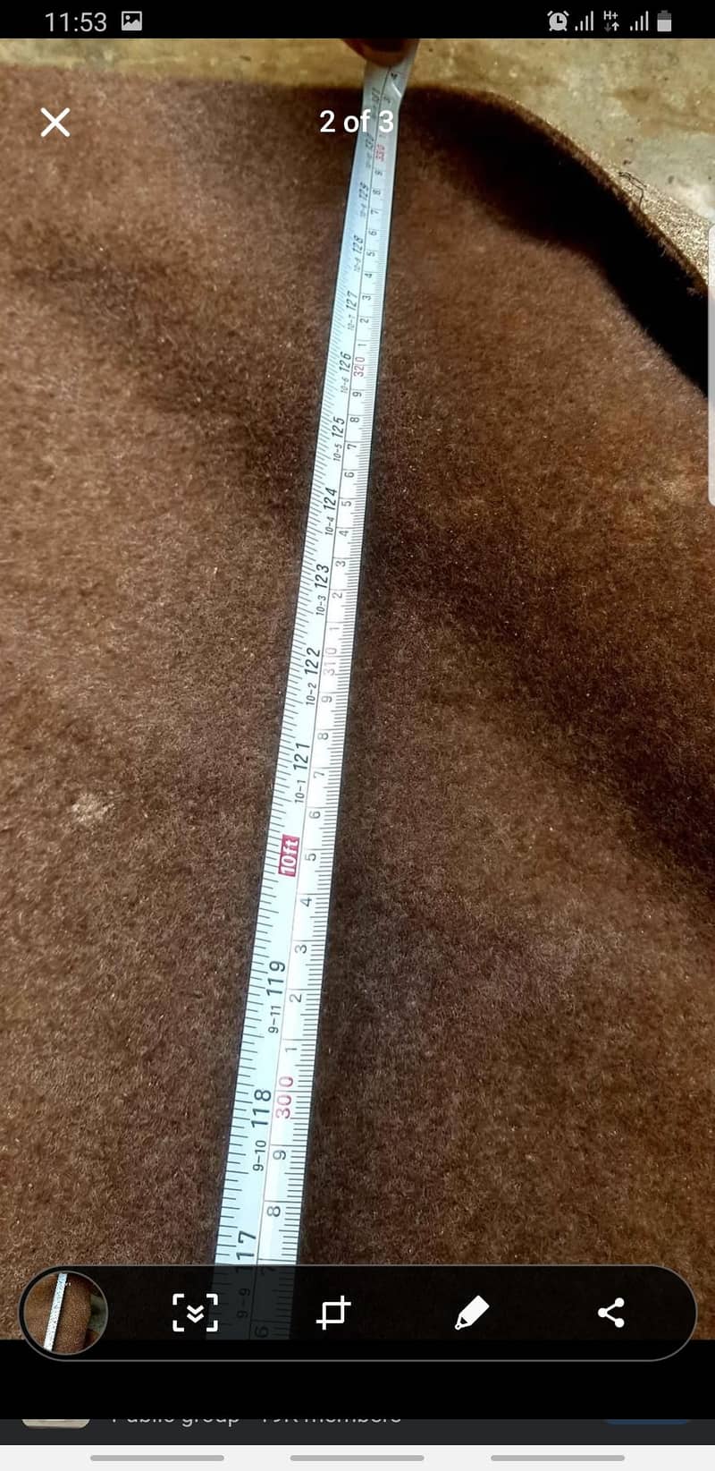 carpet 1