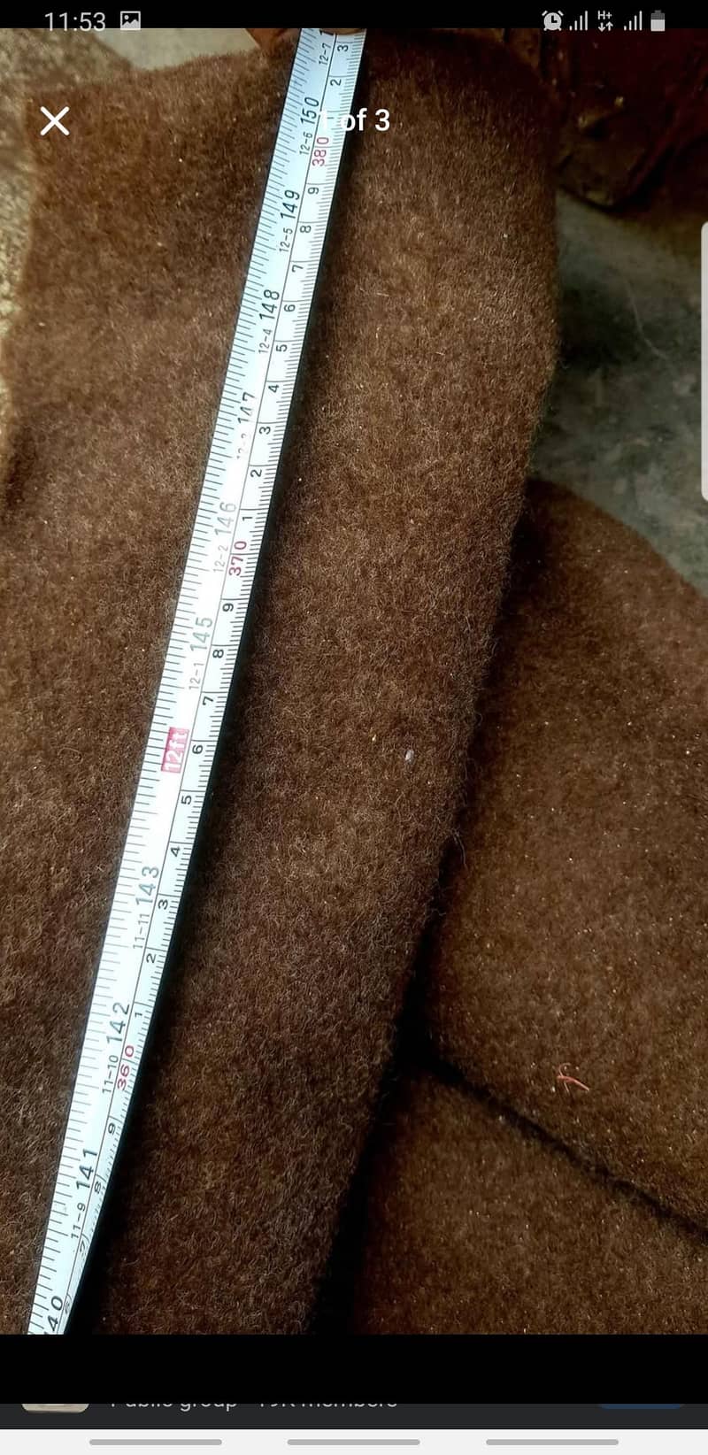 carpet 2
