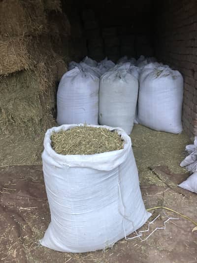 Export quality khushk locen Alfa Alfa hey available