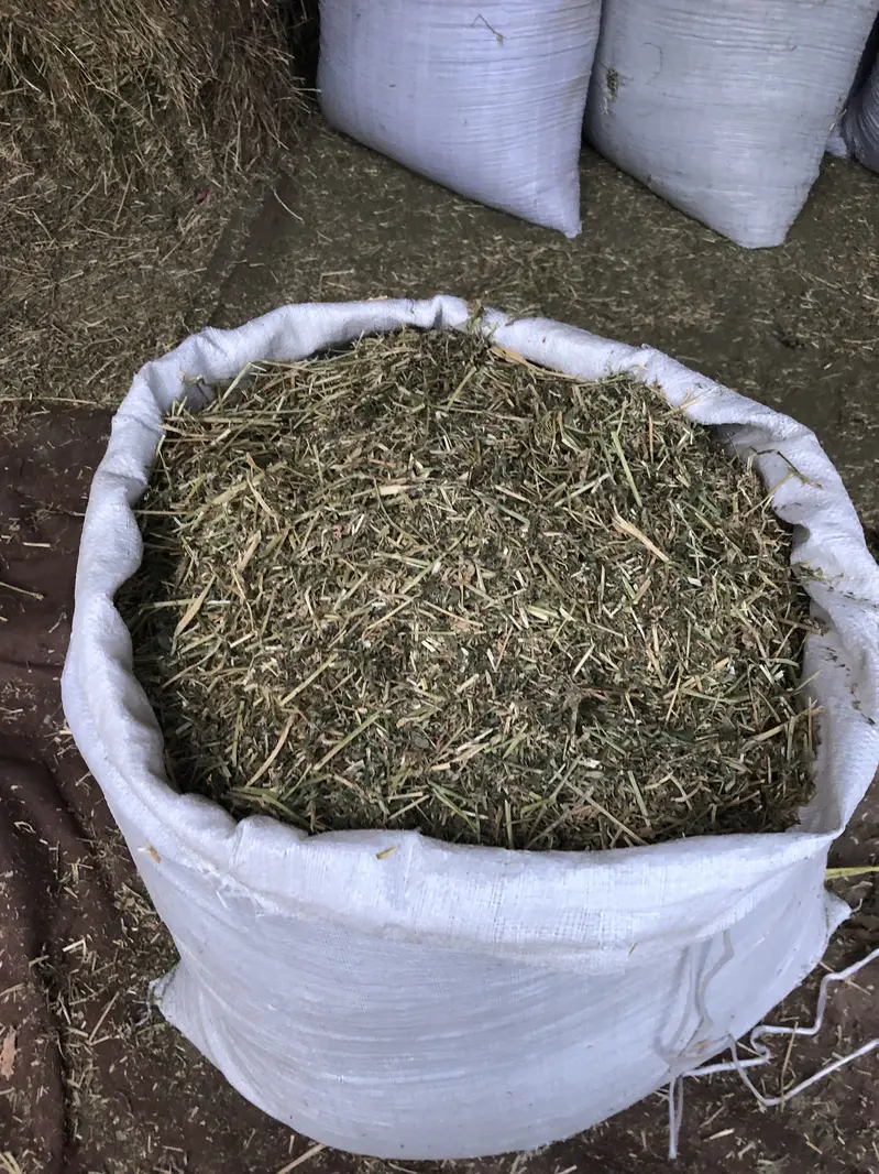 Export quality khushk locen Alfa Alfa hey available — photo 2