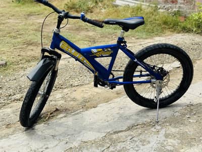 DELUXE supreme bicycle