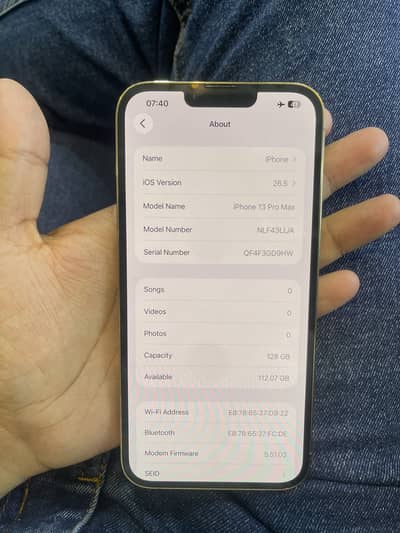 iPhone 13 Pro Max
