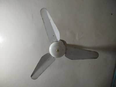 Sk fan