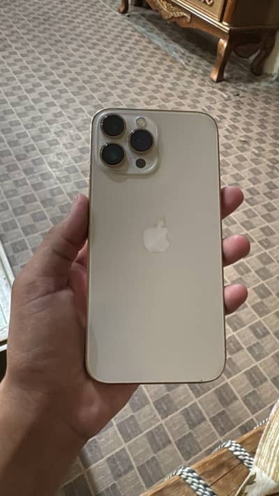 Apple iPhone 13 Pro Max