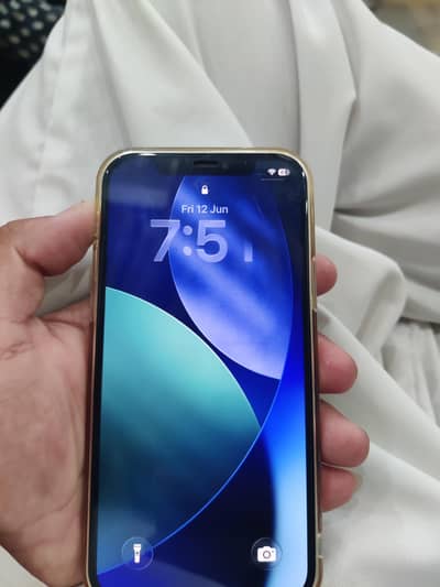 Apple iPhone 12