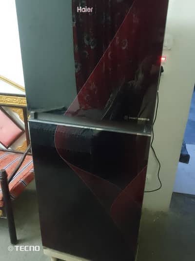 argnat for sell