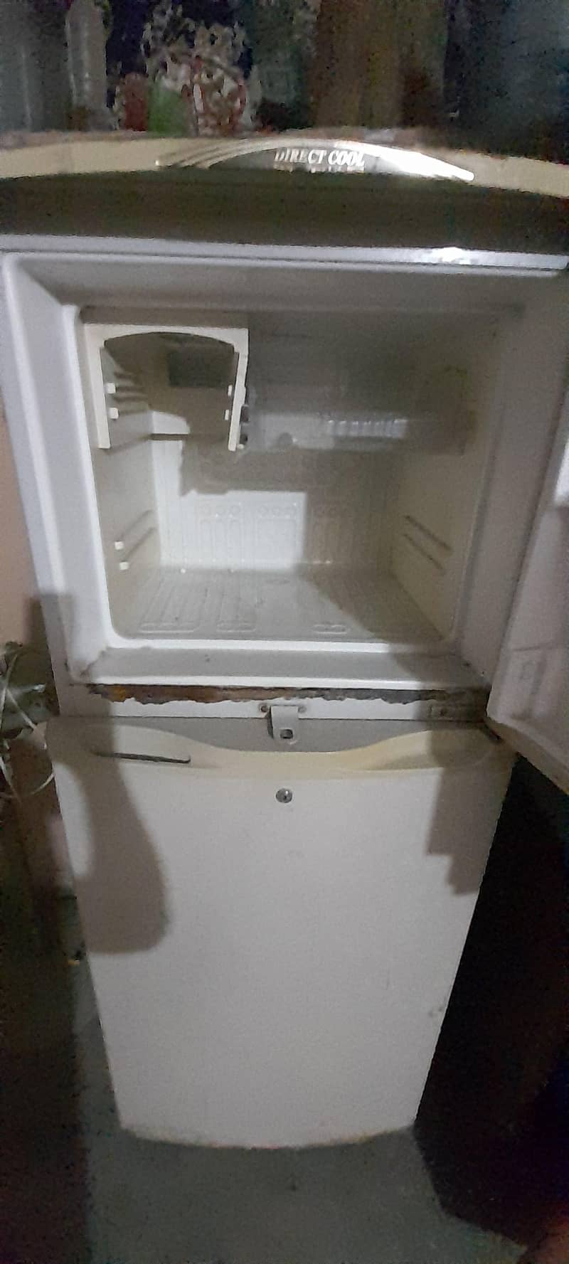 Waves Refrigerator 2