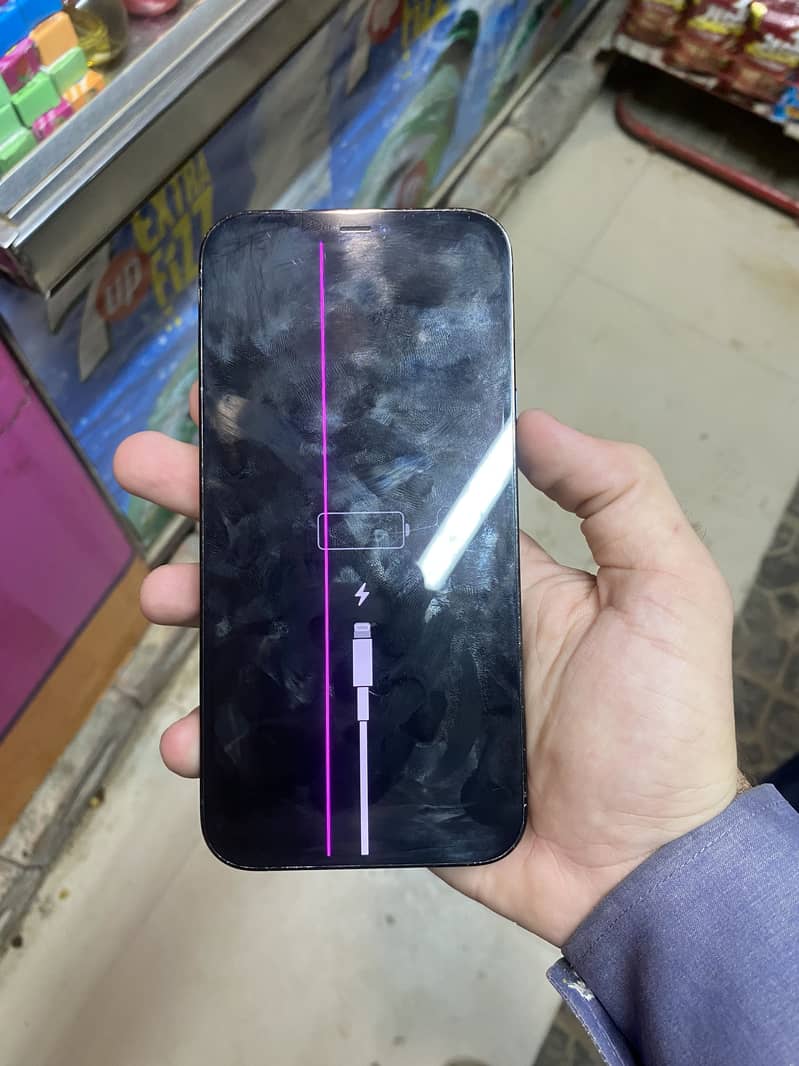 iPhone 12 Pro Max 1