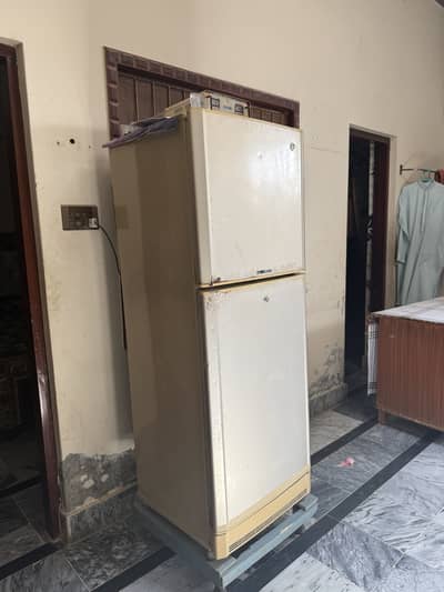 Pel fridge lush condition