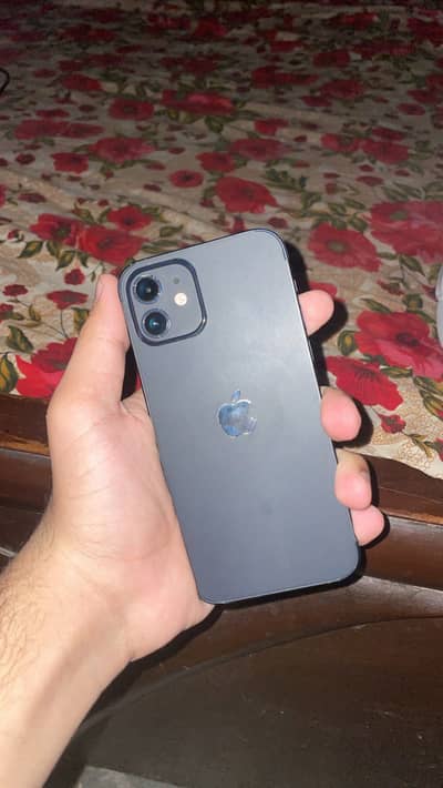 Apple iPhone 12 Faisalabad