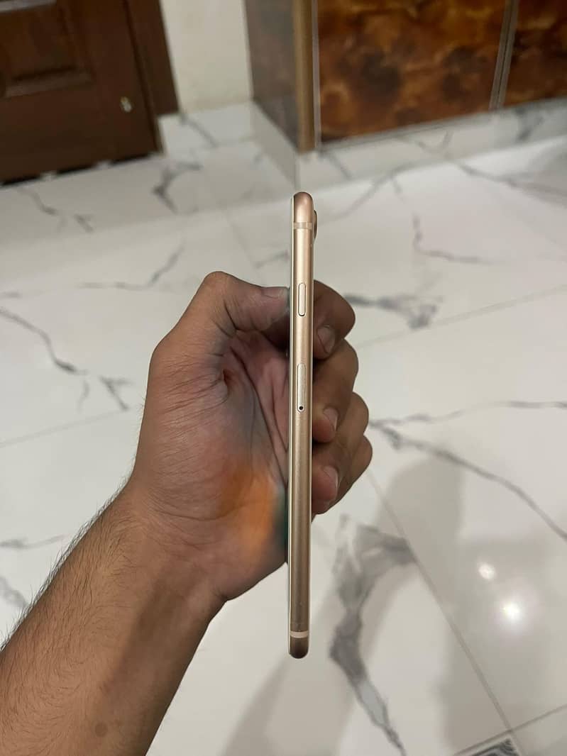 Apple iPhone 8 Plus 3