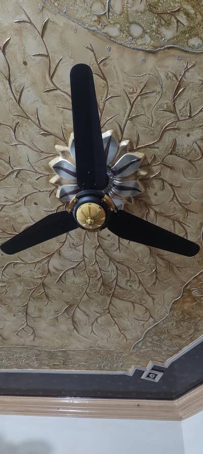 G10 AC DC Fan