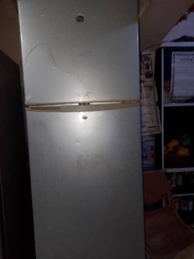pel double door fridge