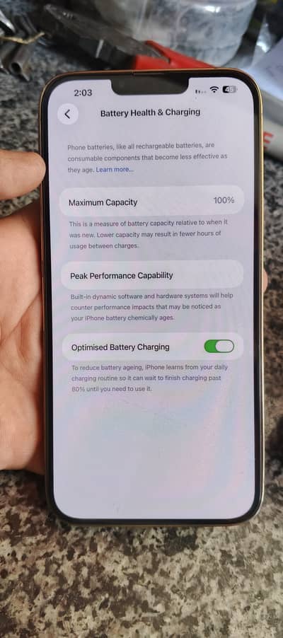 Apple iPhone 13 Pro Max jv