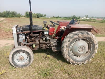 massy135
