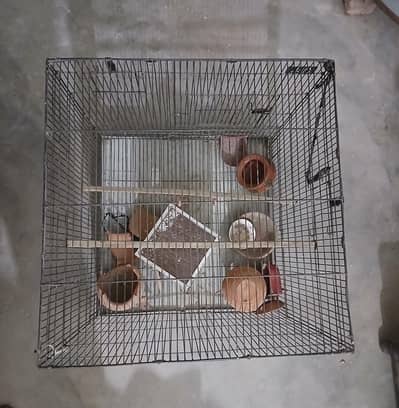 parrot cage