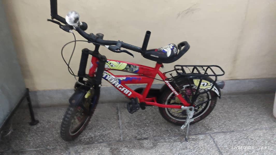 Bicycle 6