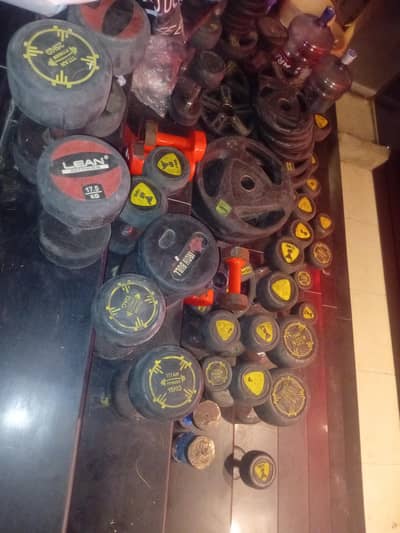 gym equipment