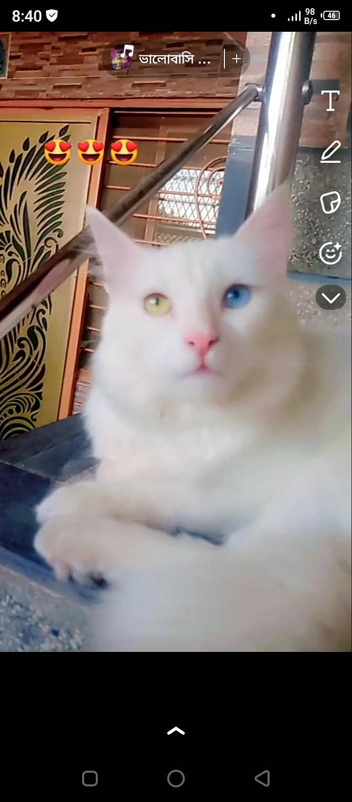 manoo 2