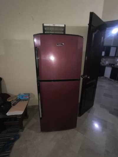 haier 2 door fridge