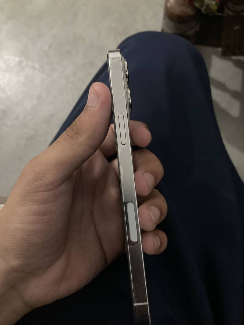 Apple iPhone 13 Pro Max 2