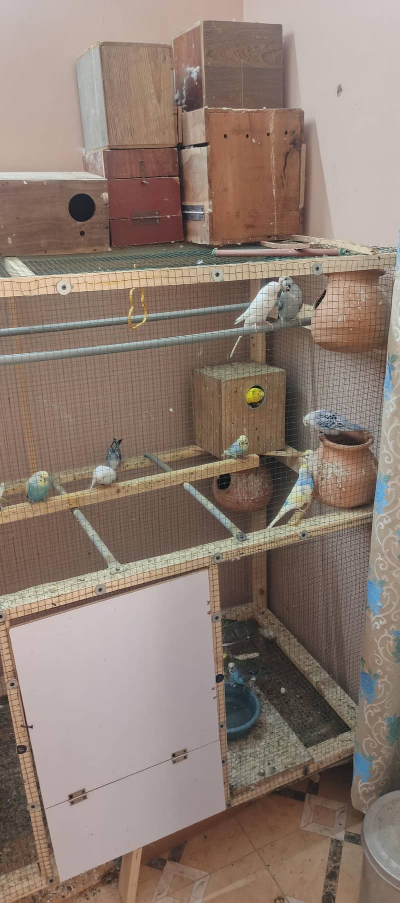 birds setup 17