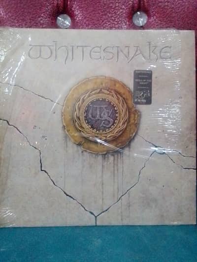 vinyls records